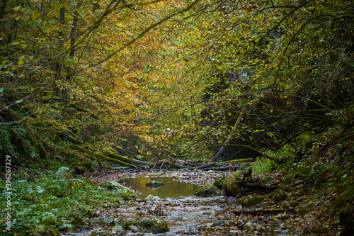 Fototapeta Naklejka Na Ścianę i Meble -  Colorful autumnal landscape of a river in the forest