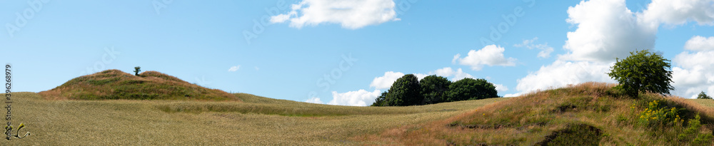 Burial mounds Denmark