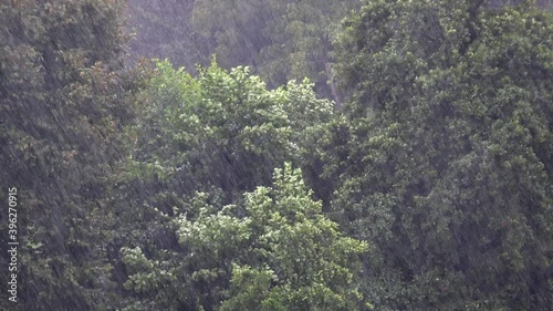 Heavy Strong Rain in Forest. Precipitation downfall deluge hail hurricane typhoon thunderstorm tornado supercell rainy rains raining curtain of rain microburst downburst weather woodland wood tree 4K. photo