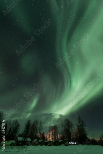 Talkeetna lights portrait photo