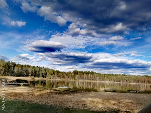 landscape with a fence