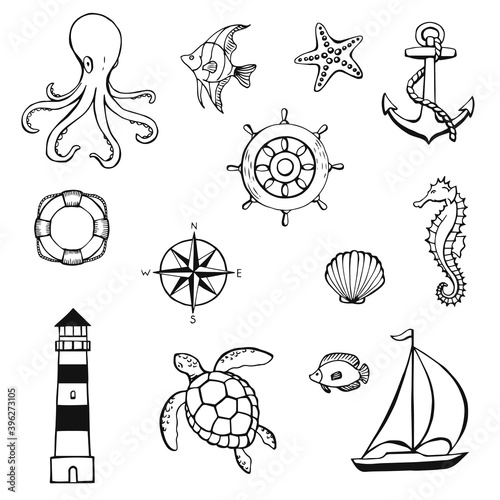 Sea or ocean underwater life with different animals and marine objects. Concept elements. Vector illustration in hand drawn style
