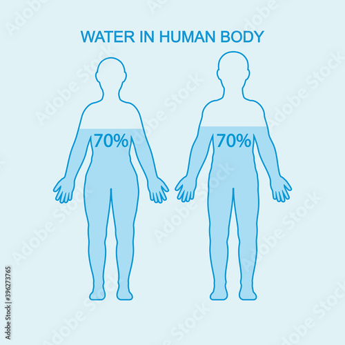 Water in human body. Water content charts percentage in human body. Vector illustration.