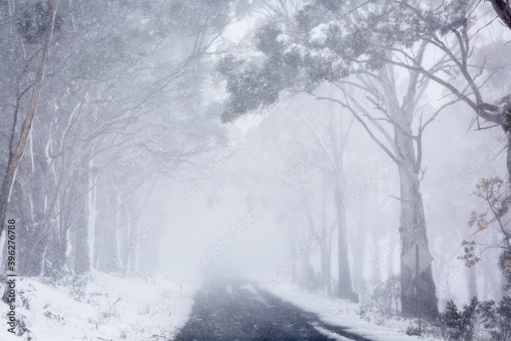 Obraz premium Blizzard snow conditions along a road near Oberon, Australia