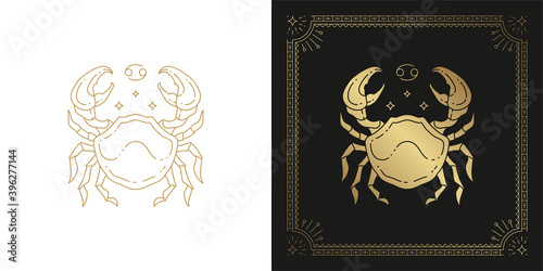 Zodiac cancer horoscope sign line art silhouette design vector illustration