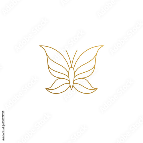 Linear icon of flying butterfly hand drawn with thin lines