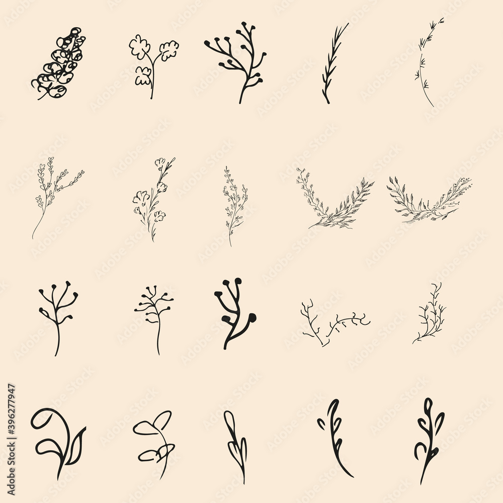 Doodle simple vector collection of 20 hand-drawn floral elements. Big collection of 20 hand-drawn branches. Big floral botanical set. Isolated