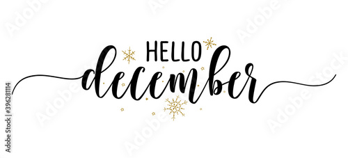 Hello December - Inspirational Christmas beautiful handwritten quote, gift tag, lettering message. Hand drawn winter, december phrase. Handwritten modern brush calligraphy for Xmas. Mug subtitles.