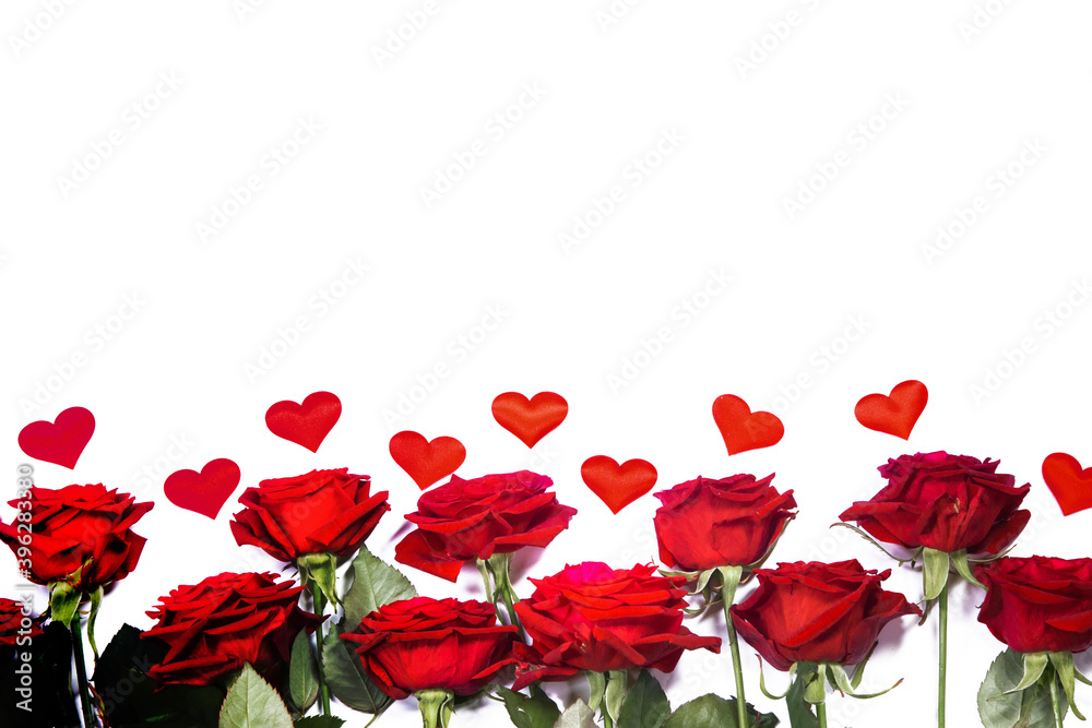 Obraz premium Red roses and hearts on white