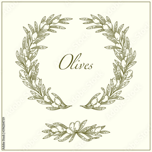 Olive branches wreath frame. Organic food, vector doodle hand drawn sketch style illustrations collection isolated on background. Botanical illustration for packaging, menu cards, posters, prints.	