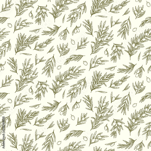 Olive branches seamless pattern. Organic food, vector doodle hand drawn sketch style illustrations collection. Botanical illustration for packaging, menu cards, posters, prints.	