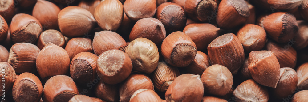 Hazelnuts. Food background, wallpaper. Stack of hazelnuts. Web banner for your design. Hazelnuts. Food background, wallpaper. Stack of hazelnuts. Web banner for your design.