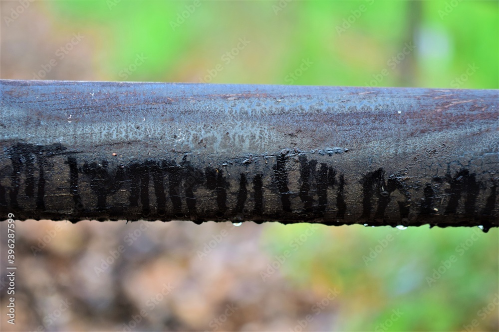 Close-up of a wooden black pasture fence against a blurred background Close-up of a wooden black pasture fence against a blurred background