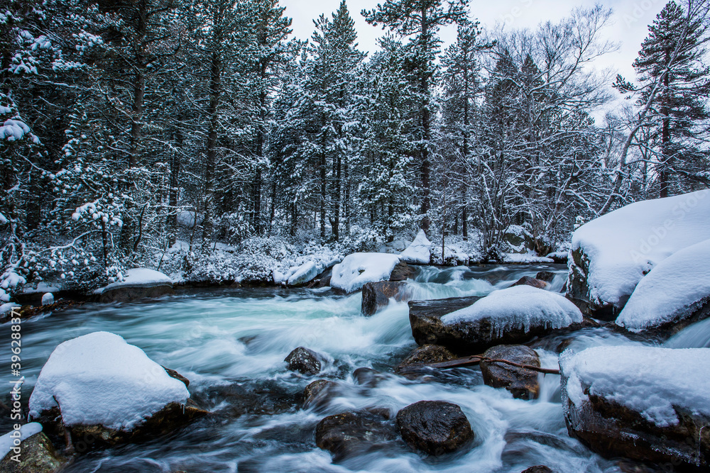 Fototapeta premium Winter river in Capcir, Cerdagne, Pyrenees, France
