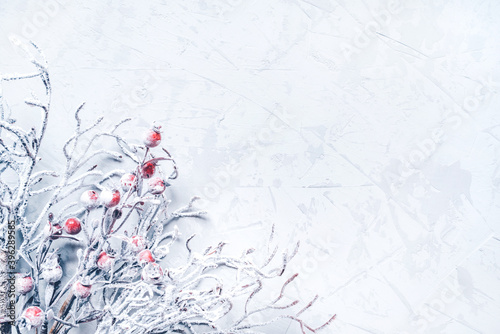 Christmas background of snow-covered branches with berries.