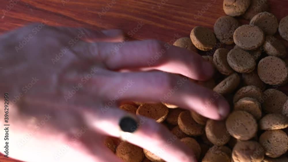 Hand grabing pepernoten, dutch culture sinterklaas.