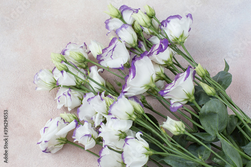 White with purple flowers and free space for text