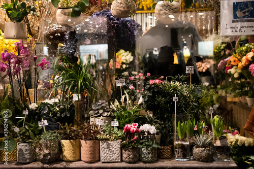 vitrine fleuriste