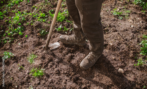 Agriculture, gardening and farm work, boots stepping on the ground with hoe and rakes