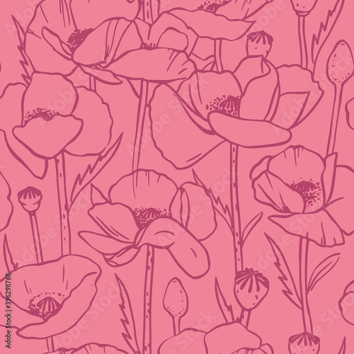 Vector seamless pattern with poppy flowers. Drawing of a poppy.