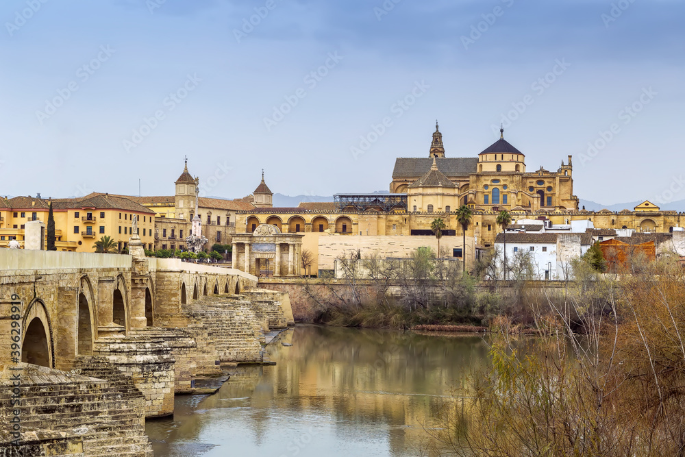 View of Cordoba Mosque Cathedral, Spain