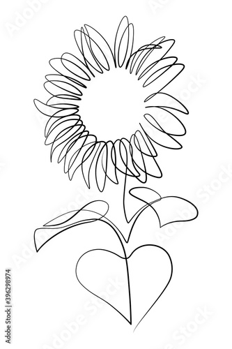 Sunflower in continuous line art drawing style. Black linear sketch isolated on white background. Vector illustration