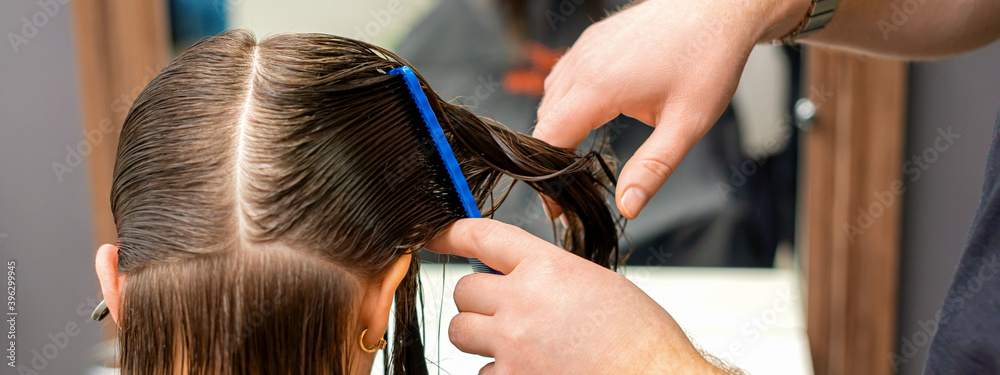 Fototapeta premium Hands of a hairdresser combing the hair of a young woman parted in sections at the barbershop