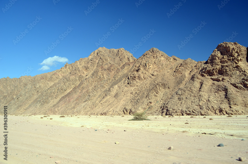 Desert of Sinai Peninsula, Egypt. Near Sharm El Sheikh