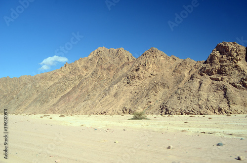 Desert of Sinai Peninsula, Egypt. Near Sharm El Sheikh