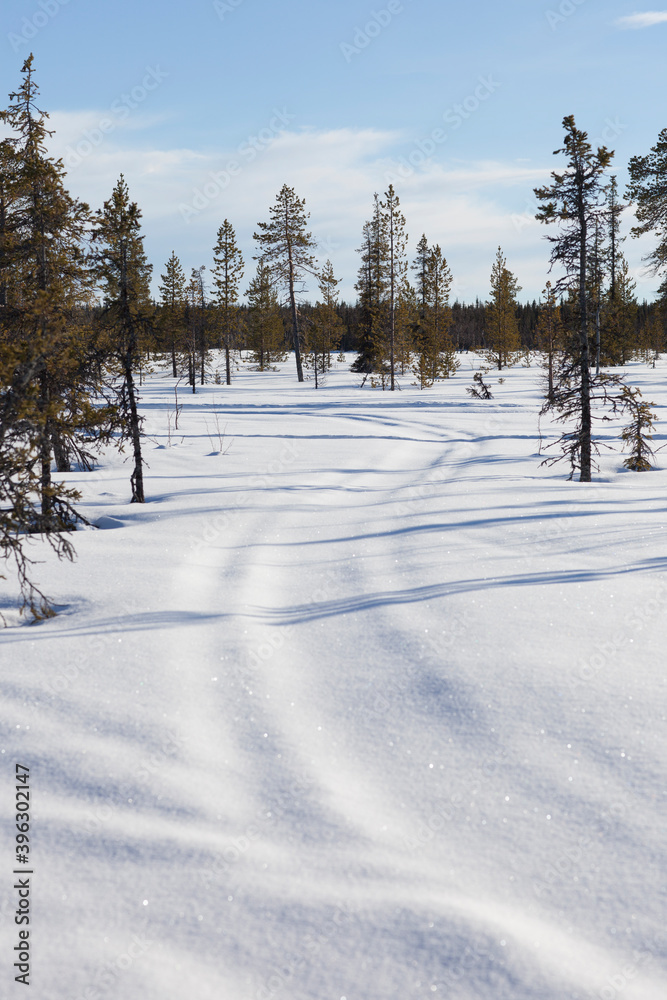 Snow covered road on the Lapland tundra Snow covered road on the Lapland tundra