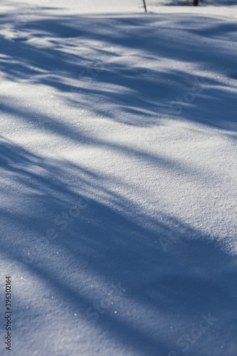 Tree shadows on virgin snow