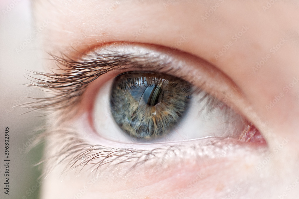 Fototapeta premium Human eye close up. macro photo