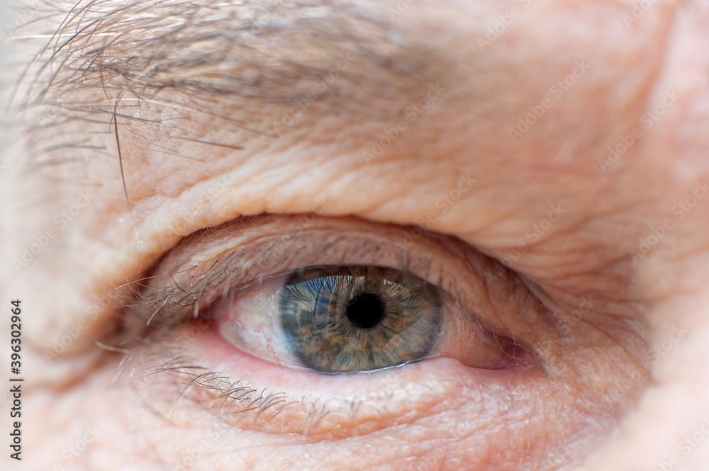 Fototapeta premium Human eye close up. macro photo