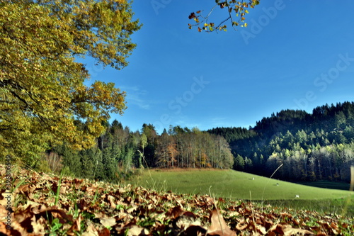 Herbstlandschaft in Kirchzarten bei Freiburg