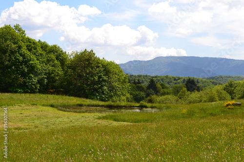 Tableau sur toile La Région des Mille Étangs, Plateau des Mille Étangs, située dans le département