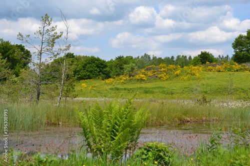 La Région des Mille Étangs, Plateau des Mille Étangs, située dans le département de la Haute-Saône en Franche-Comté