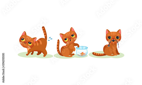 Naughty Playful Kitten Catching Fish in Aquarium and Pissing Vector Set