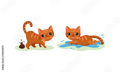 Naughty Playful Kitten Defecating and Lying in Puddle Vector Set