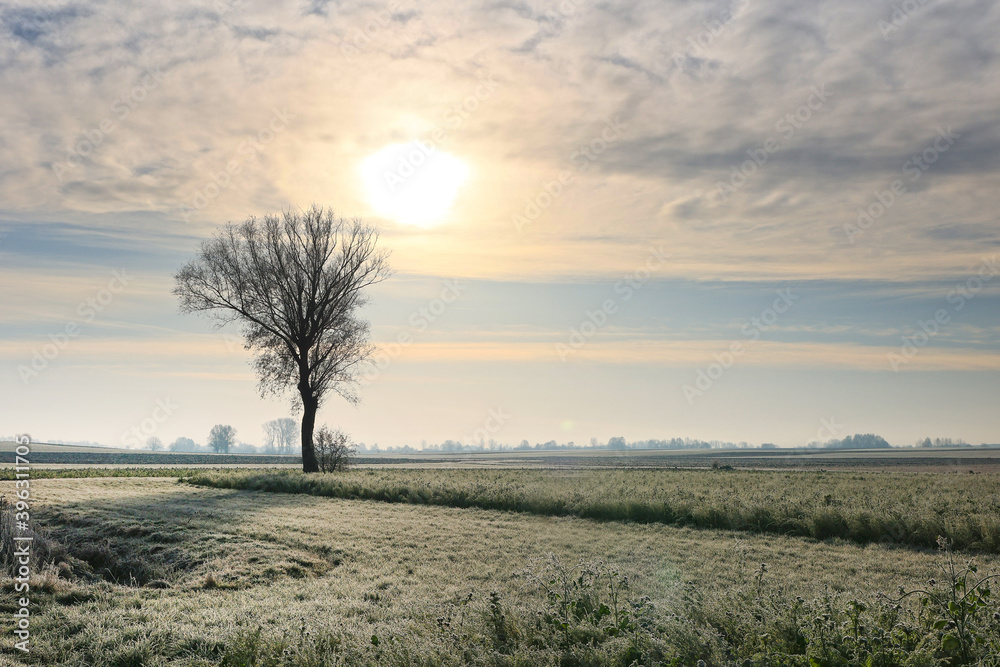 Herbstlandschaft