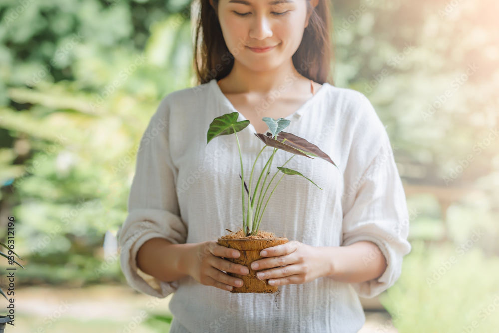 Fototapeta premium Asian woman holding a tree planted in a coconut fiber pot, Hobbies and leisure, home gardening, Cultivation and caring for indoor potted plants. Ecological biodegradable material concept.