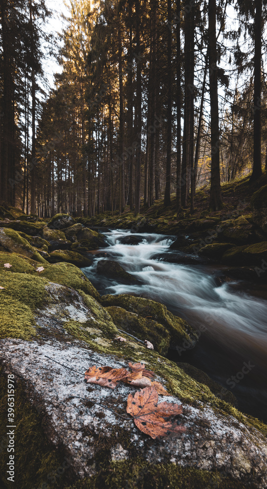 river in autumn forest river in autumn forest