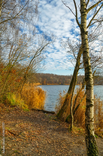 A Ufer des Untersees in der Ville-Seenplatte bei Erftstadt