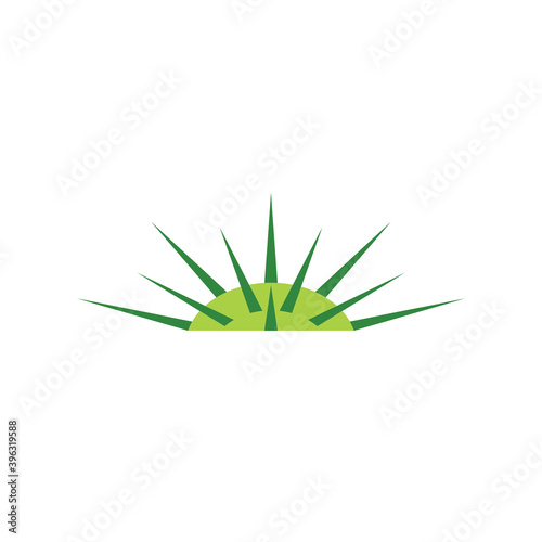 jimson weed datura logo vector icon