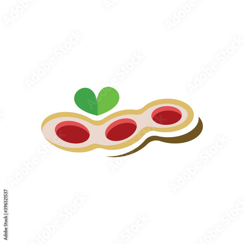 peanuts logo icon vector illustration symbol