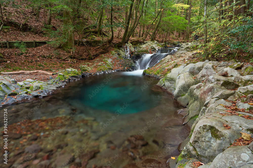 Fototapeta premium 伊豆 滑沢渓谷の流れ