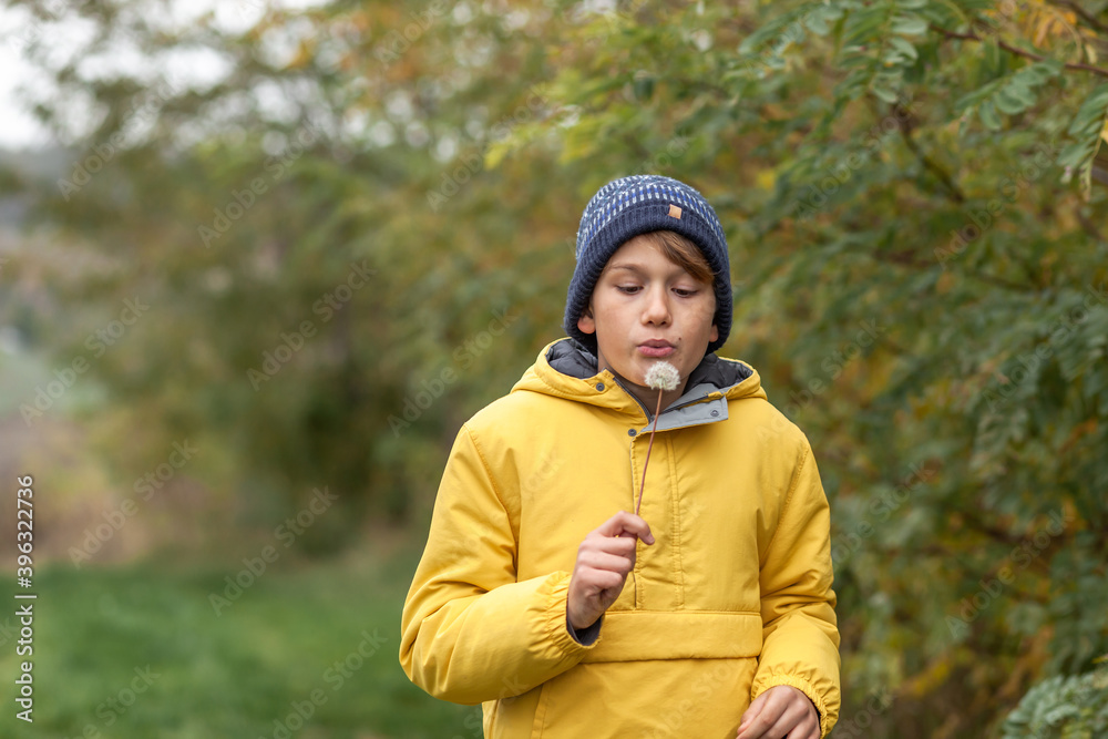 Small boy blowing dandelion in nature. Small boy blowing dandelion in nature.