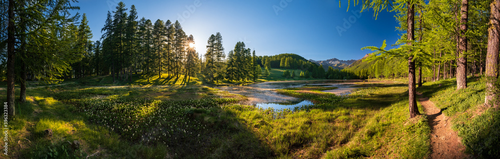 Sunset in the Queyras Nature Park with Lac de Roue lake late Spring -early Summer (panoramic). Arvieux, Hautes-Alpes, French Alps, France - obrazy, fototapety, plakaty 