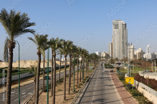 Israel Netanya highway palm trees