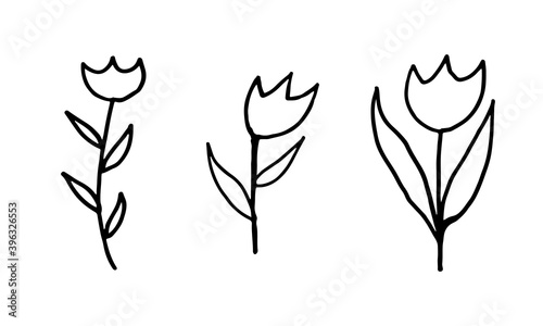 Fototapeta Naklejka Na Ścianę i Meble -  Doodle illustration of flower. Spring season. Hand drawn simple element. St Vaentines or mothers day greeting card