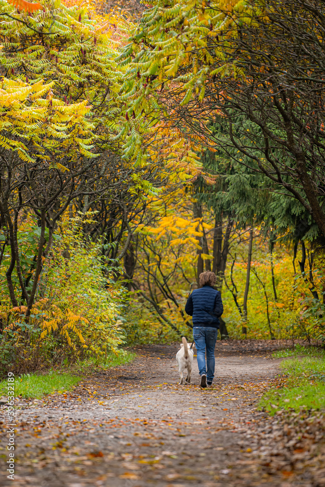 Dog and a young man owner have fun in the park. Concept of friendship, pets, togetherness. High quality photo. View from the back. Dog and a young man owner have fun in the park. Concept of friendship, pets, togetherness. High quality photo. View from the back.